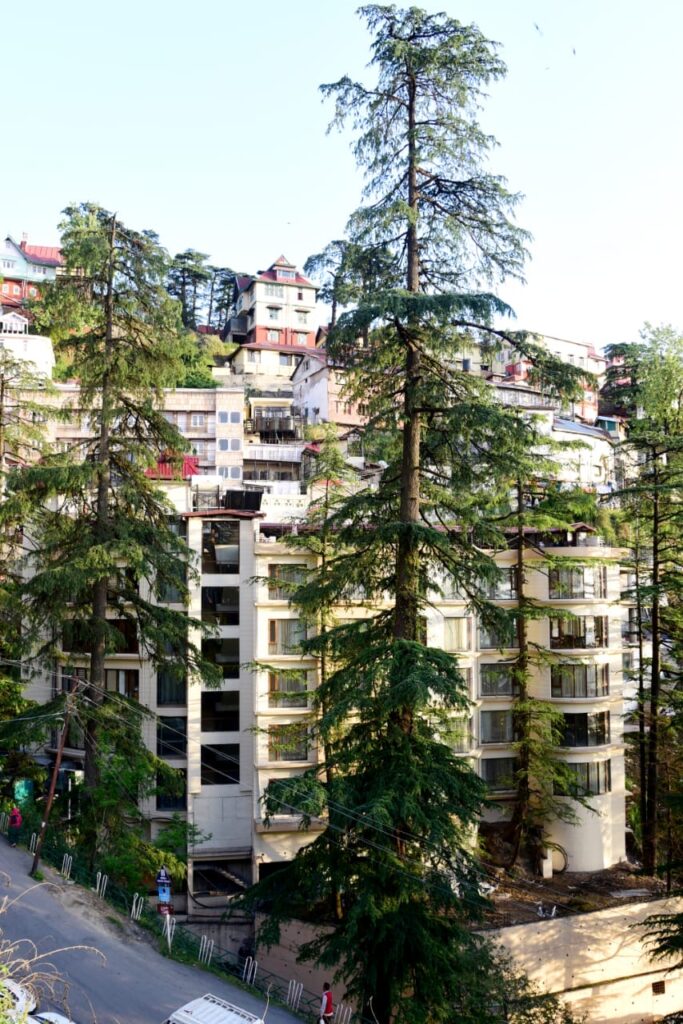 luxury hotels near shimla exterior