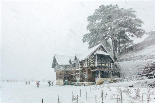 4 star hotels in shimla